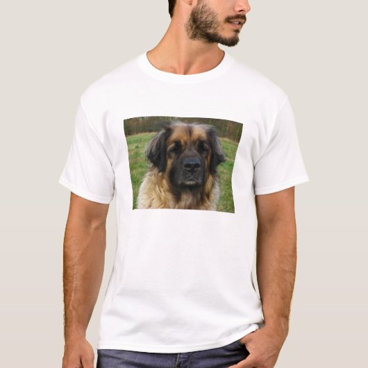 leonberger tシャツ (正面)