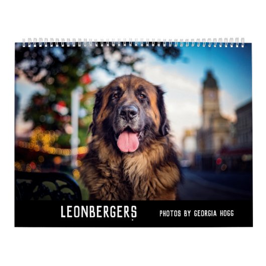 Leonbergers カレンダー (カバー)
