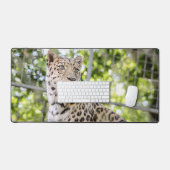 Leopardのクローズアップ顔写真 デスクマット (キーボード&マウス)