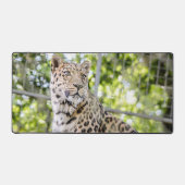 Leopardのクローズアップ顔写真 デスクマット (正面)