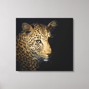 Leopardの接写、Kruger National 素晴らし 2 キャンバスプリント