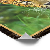Leopardクローズアップフォトイメージプリントポスター ポスター (角)