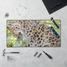 Leopard写真のクローズアップ