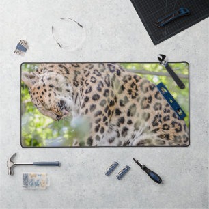 Leopard写真のクローズアップ デスクマット