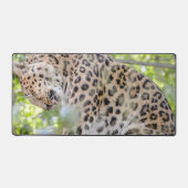 Leopard写真のクローズアップ デスクマット (正面)