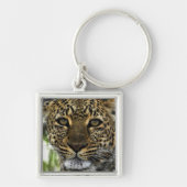 Leopard キーホルダー (正面)