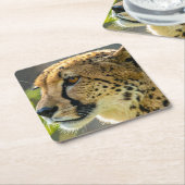 leopard スクエアペーパーコースター (アングル)