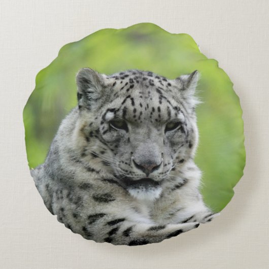 Leopard_2015_0310 ラウンドクッション (裏面)