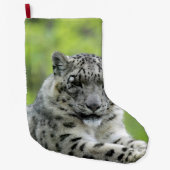 Leopard_2015_0310 ラージクリスマスストッキング (正面)