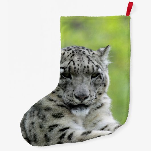 Leopard_2015_0310 ラージクリスマスストッキング (裏面)