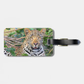Leopard 6ラゲージタグ ラゲッジタグ (裏面横)