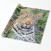 Leopard 6ラッピング紙 ラッピングペーパー (アンロールド)