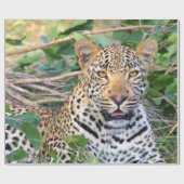 Leopard 6ラッピング紙 ラッピングペーパー (フラット)