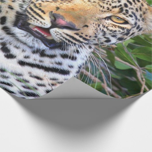 Leopard 6ラッピング紙 ラッピングペーパー (コーナー)