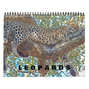 LEOPARD - ALL LEOPARD CALENDAR カレンダー