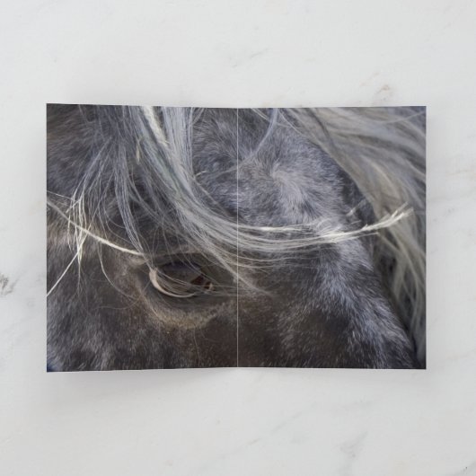 Leopard Appaloosa Hoseグリーティングカード カード (内部)