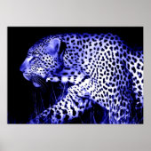 Leopard at Blue Night Poster Pop Art Wild Animals ポスター (正面)