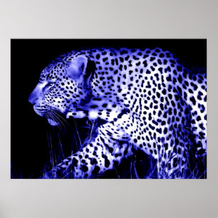Leopard at Blue Night Poster Pop Art Wild Animals ポスター