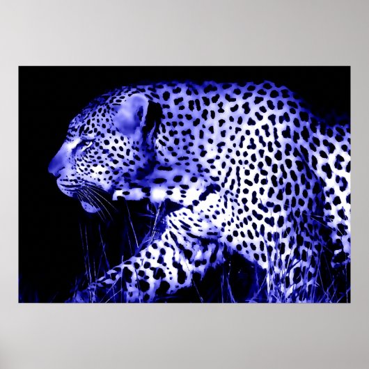 Leopard at Blue Night Poster Pop Art Wild Animals ポスター (正面)