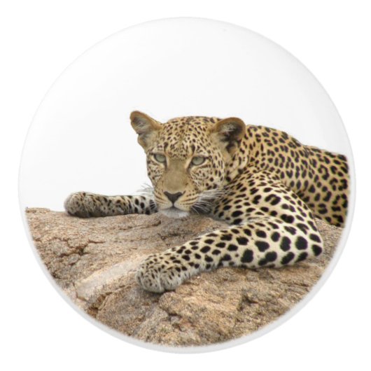 Leopard Ceramic Knob、右(引き出してキャビネットにします) セラミックノブ (正面)