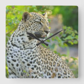 Leopard clock  スクエア壁時計 (正面)