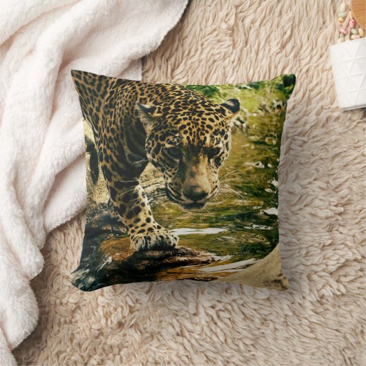 Leopard Crossing a Streamの写真 クッション (ブランケット)