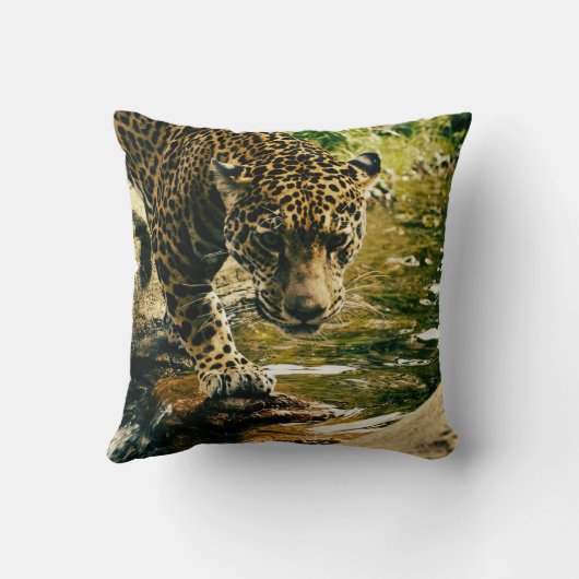 Leopard Crossing a Streamの写真 クッション (裏面)