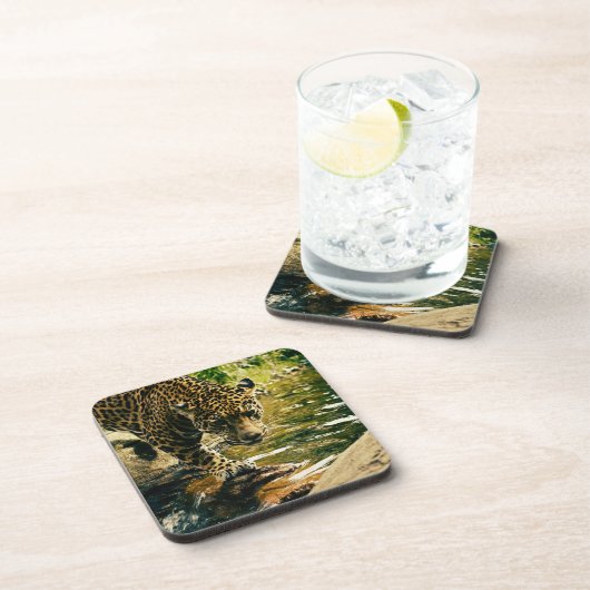 Leopard Crossing a Streamの写真 コースター (右側)