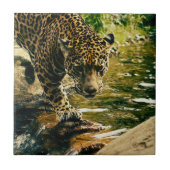 Leopard Crossing a Streamの写真 タイル (正面)