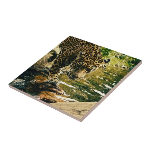 Leopard Crossing a Streamの写真 タイル (側面)