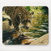 Leopard Crossing a Streamの写真 マウスパッド (正面)