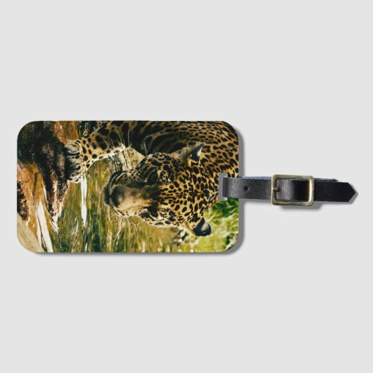 Leopard Crossing a Streamの写真 ラゲッジタグ (正面横)