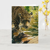 Leopard Crossing a Stream Photograph カード (黄色い花)