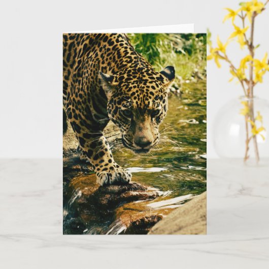 Leopard Crossing a Stream Photograph カード (黄色い花)