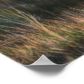 Leopard Cub Panthera Pardus (Leopard Cub Panthera  ポスター (角)