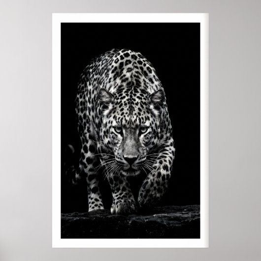 Leopard Face Wall Art Monochrome Wildlife Print ポスター (正面)