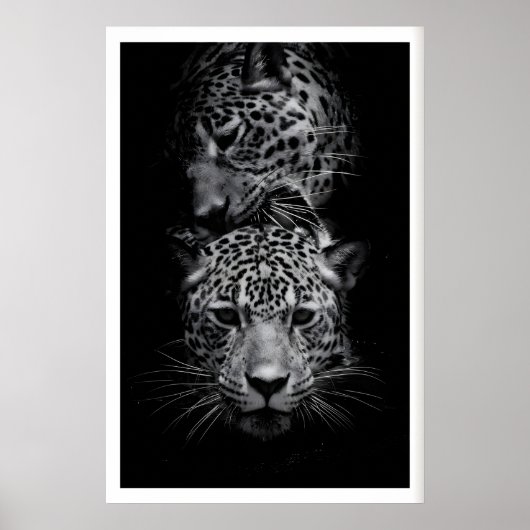 Leopard Faces Print Black and White Wildlife Art ポスター (正面)