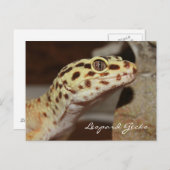 Leopard Geckoはがき ポストカード (正面/裏面)