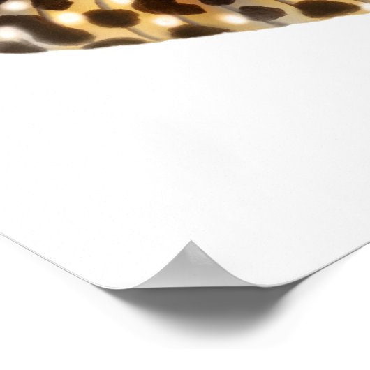 Leopard Gecko Art Print ポスター (角)