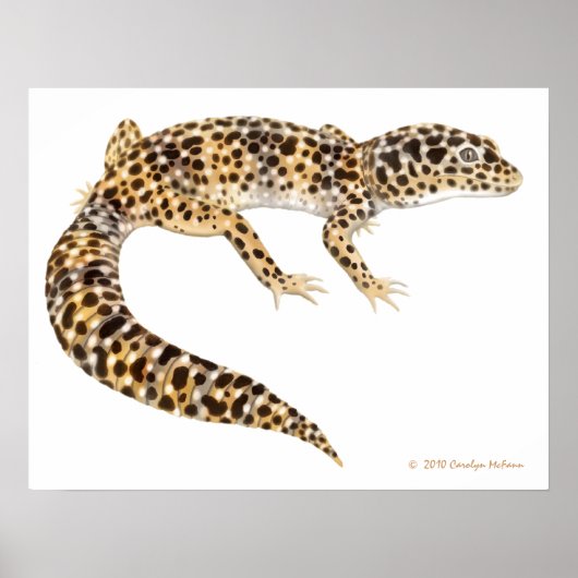 Leopard Gecko Art Print ポスター (正面)