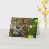 Leopard Greeting Card カード (黄色い花)