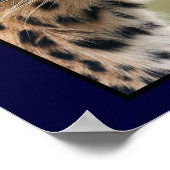 Leopard Head Shot ポスター (角)