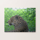 Leopard in Captivity ジグソーパズル (横)