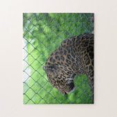 Leopard in Captivity ジグソーパズル (縦)