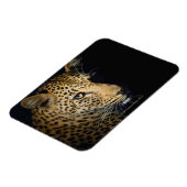 Leopard、Kruger National素晴らしの接写 マグネット (左側)