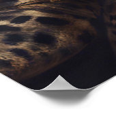 *Leopard Lady – ポスター (角)