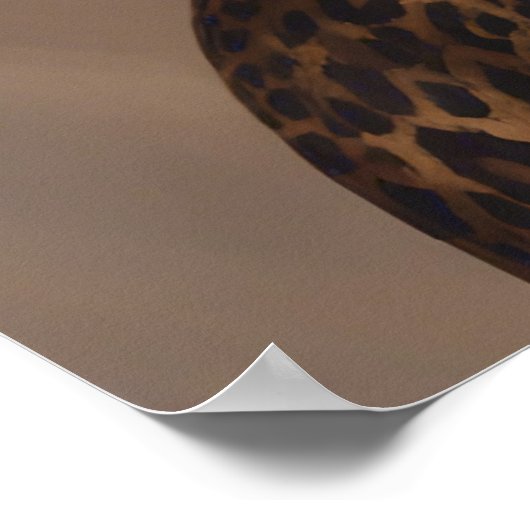 *Leopard Lady – ポスター (角)