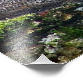 Leopard on a Log フォトプリント (角)