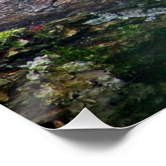 Leopard on a Log ポスター (コーナー)