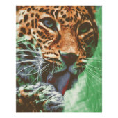 Leopard Portrait ポスター (正面)